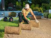 established landscaping business net