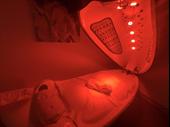 health wellness sports recovery