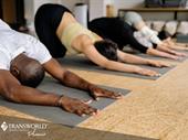 thriving yoga studio with