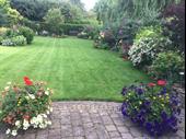 popular profitable lawncare business