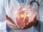 profitable cardiology practice sarasota