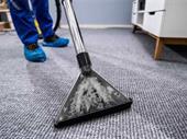 carpet cleaning business