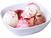 ice cream wholesale southeast