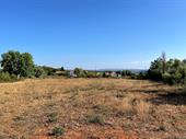 commercial land zibreira