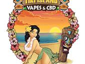 ga vapes cbd store