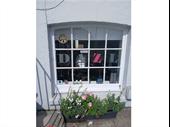 dazl hair beauty shine