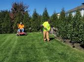 profitable landscaping company with