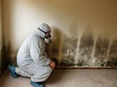 certified uk mould remediation