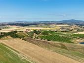 farm with vineyards tuscany