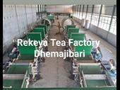 ctc tea factory