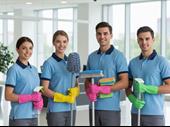 established cleaning franchise with