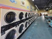 coin laundry business for