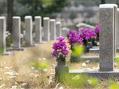 19 location cemetery funeral
