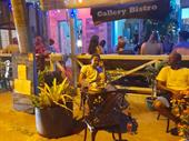 profitable well-established restaurant carriacou