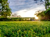 profitable established lawn treatment