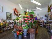 brighton florist priced to