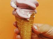 mobile ice cream business