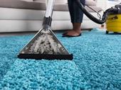 oxi fresh carpet cleaning