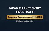 japan entry entity corporate