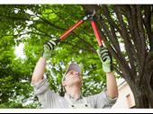 profitable tree care landscaping
