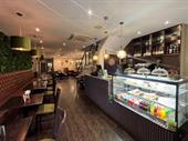 leasehold takeaway bistro newcastle