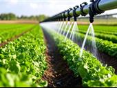 established irrigation pumping business