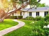 established lawn care landscaping