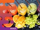 36461 turnkey smoothie business