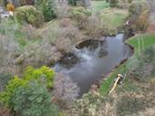 aquatic restoration pond management