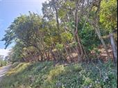 4 hectares front road