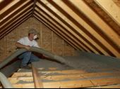 home building insulation thriving