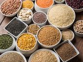 established kerala fmcg spices