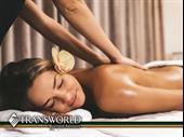 established franchise massage spa