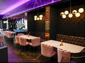 recently established licensed persian