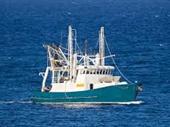 wholesale business overberg
