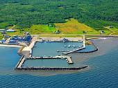processing fish plant ready