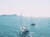 multi brand experiential sailing