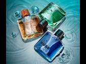 profitable perfume business with