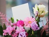 well-established florist-great downtown location