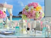 100 retail florist with