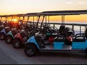full-service dealer group golfcarts