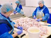 exceptional poultry meat processing