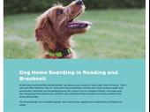 fetch your dream career