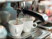 cafe business opportunity for