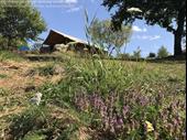 campsite limoges for sale