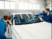 windscreen repair business for