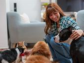 pet care business dubai