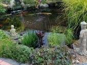specialist pond protection supplier