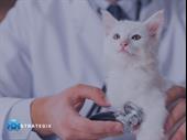 premier profitable scalable veterinary