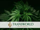 established thc-a hemp retailer